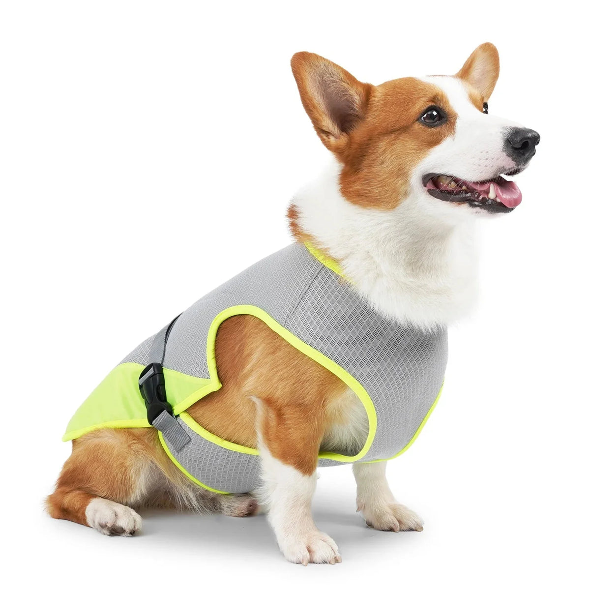 PatisFeliz Chaleco Refrigerante para Perros Transpirable