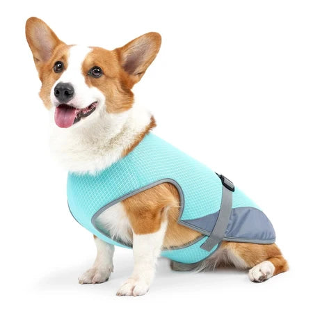 PatisFeliz Chaleco Refrigerante para Perros Transpirable
