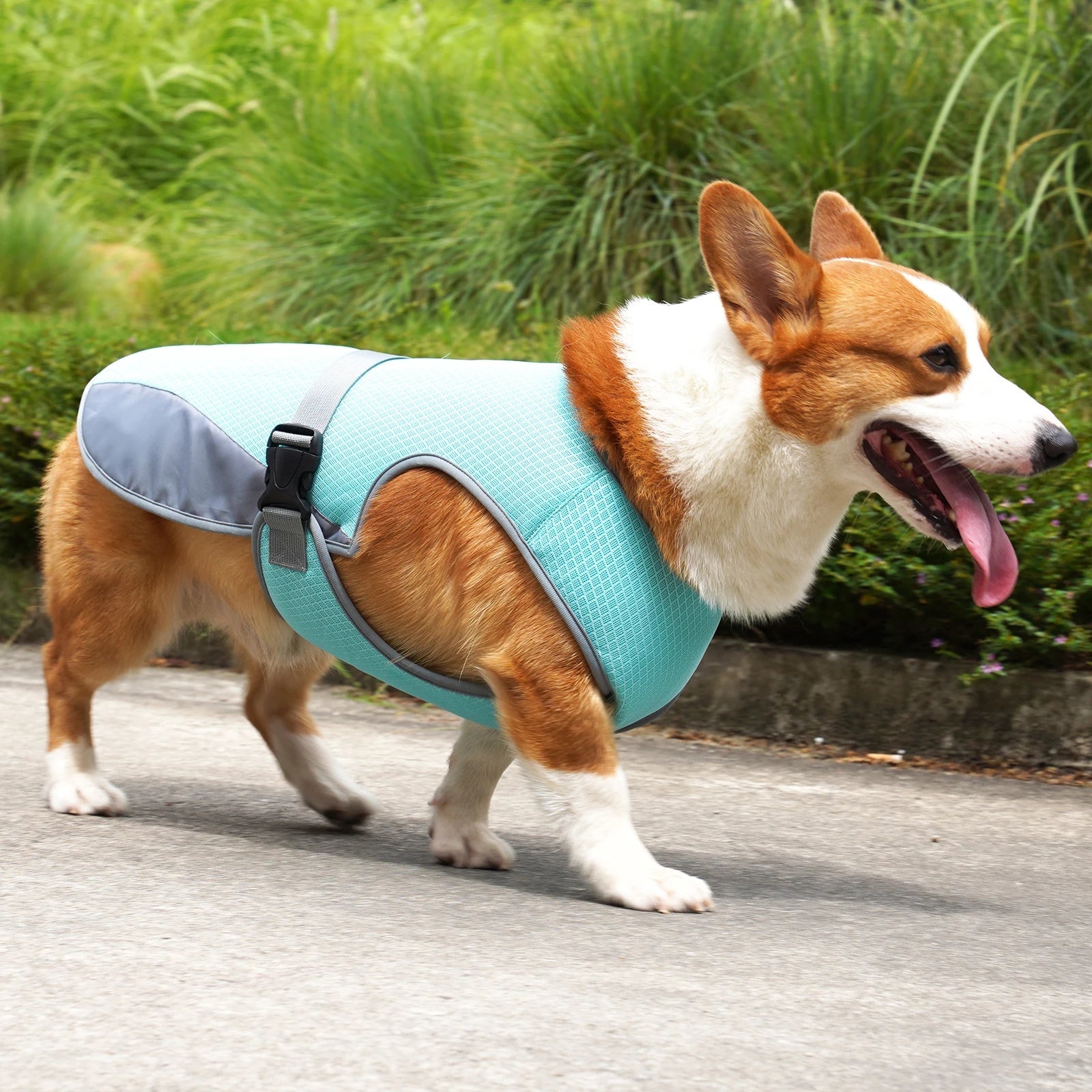 PatisFeliz Chaleco Refrigerante para Perros Transpirable