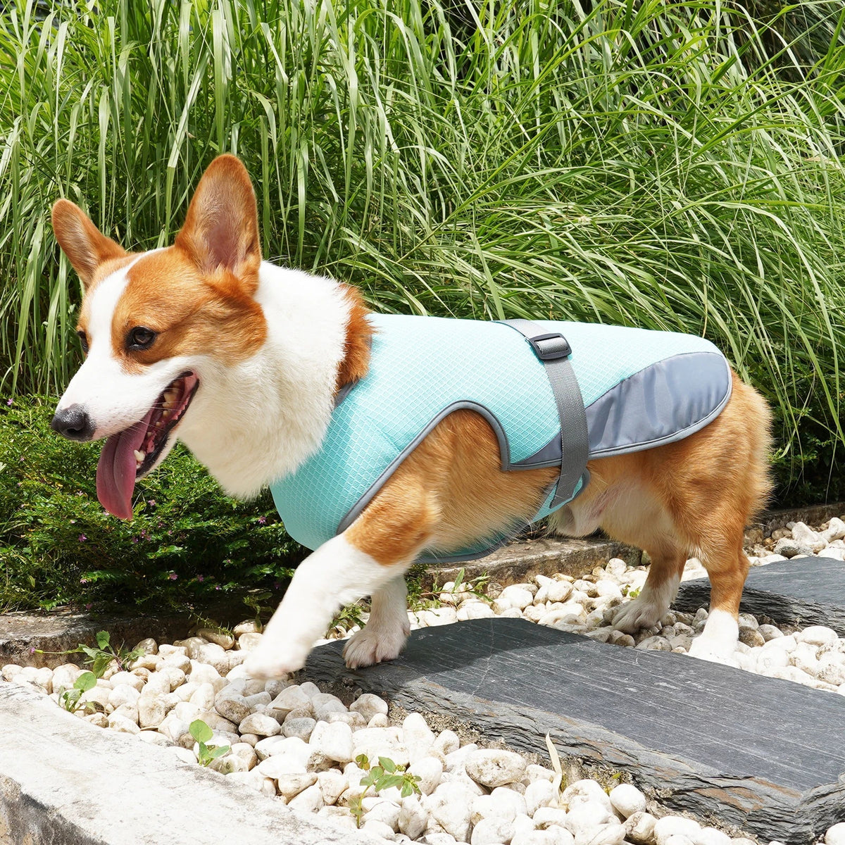 PatisFeliz Chaleco Refrigerante para Perros Transpirable