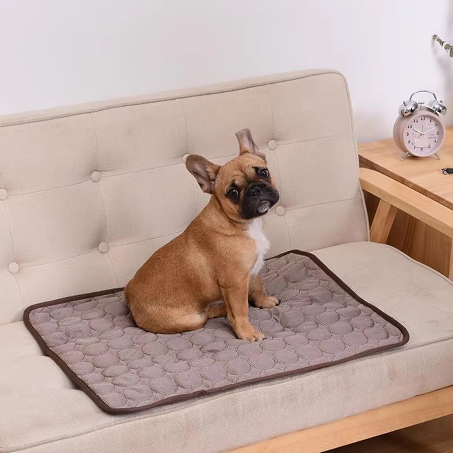 Huellanita Manta Refrescante para Perros y Gatos Lavable