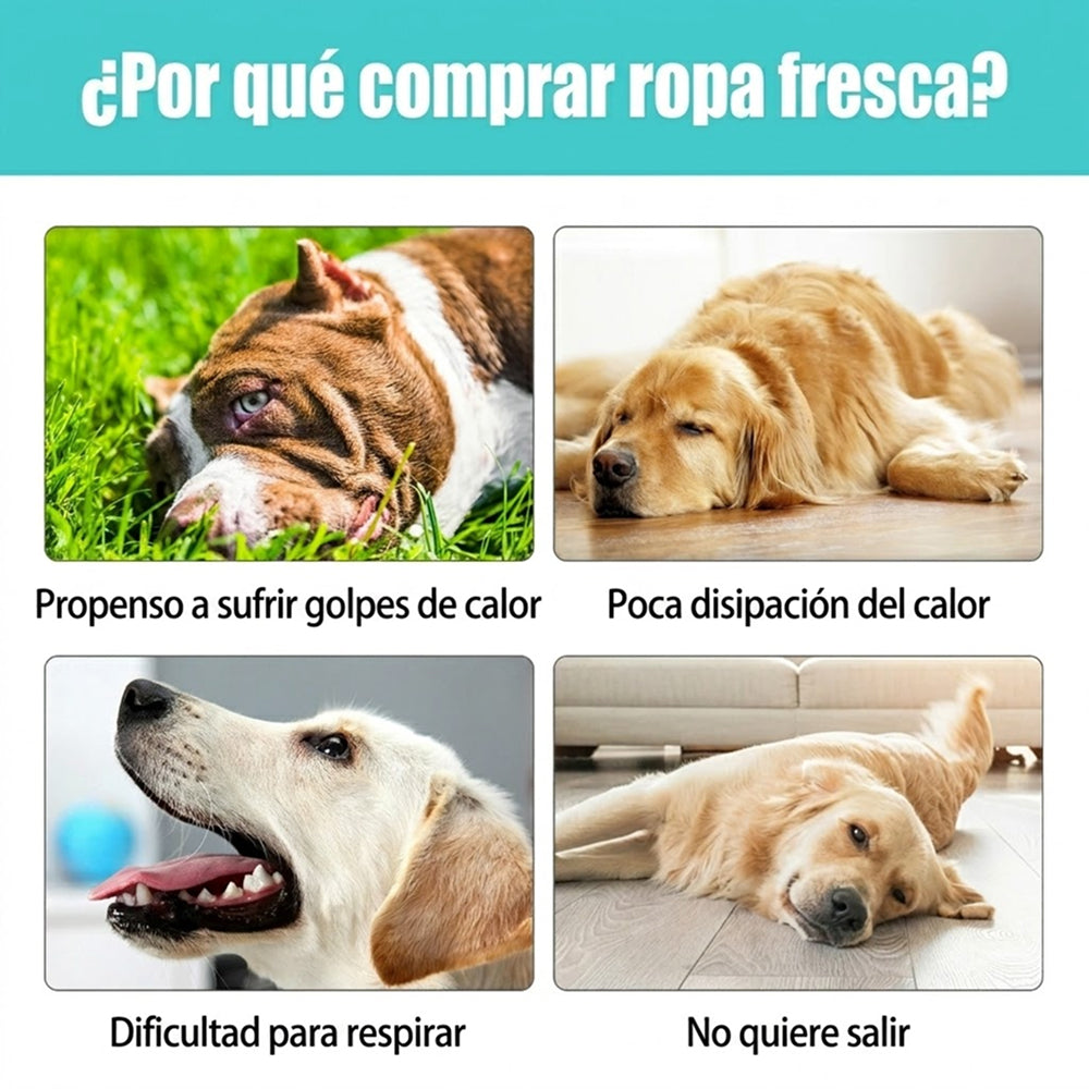 PatisFeliz Chaleco Refrigerante para Perros Transpirable