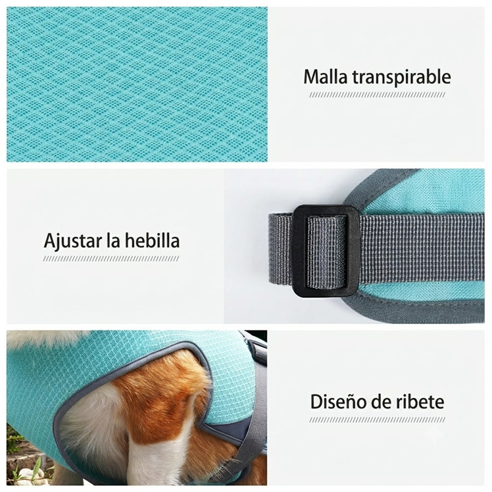 PatisFeliz Chaleco Refrigerante para Perros Transpirable
