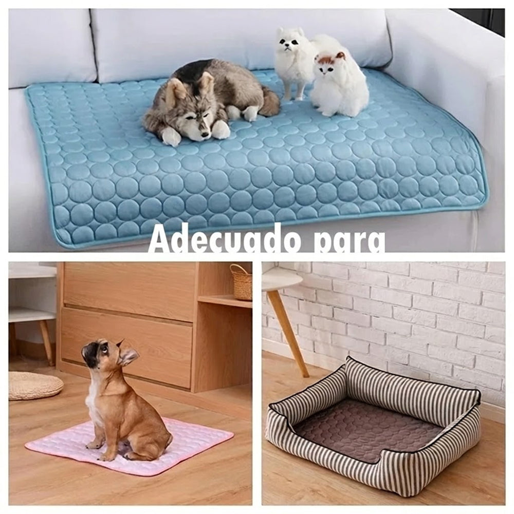 Reygría