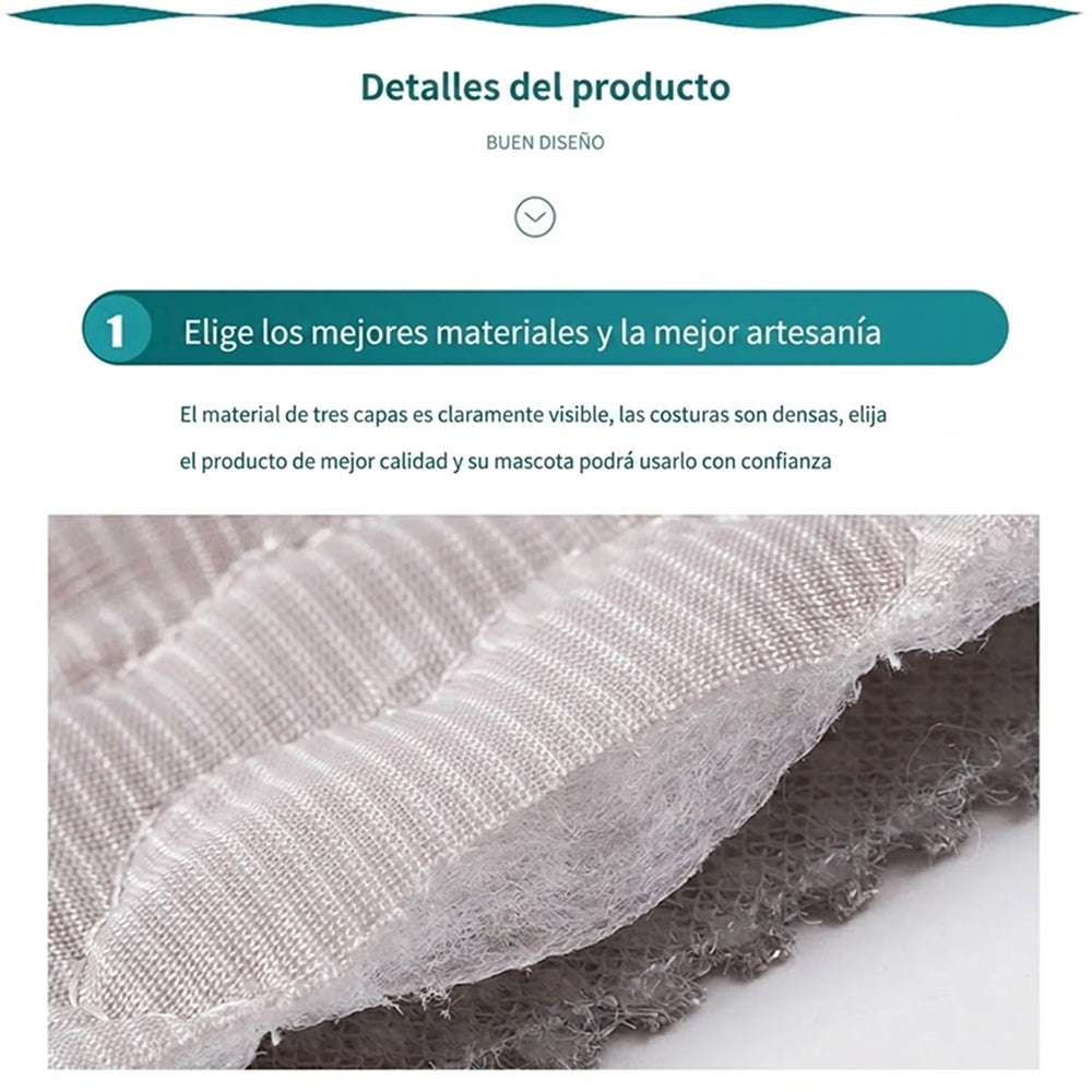 Reygría