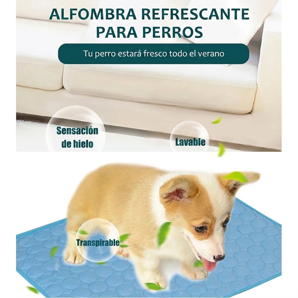 Reygría