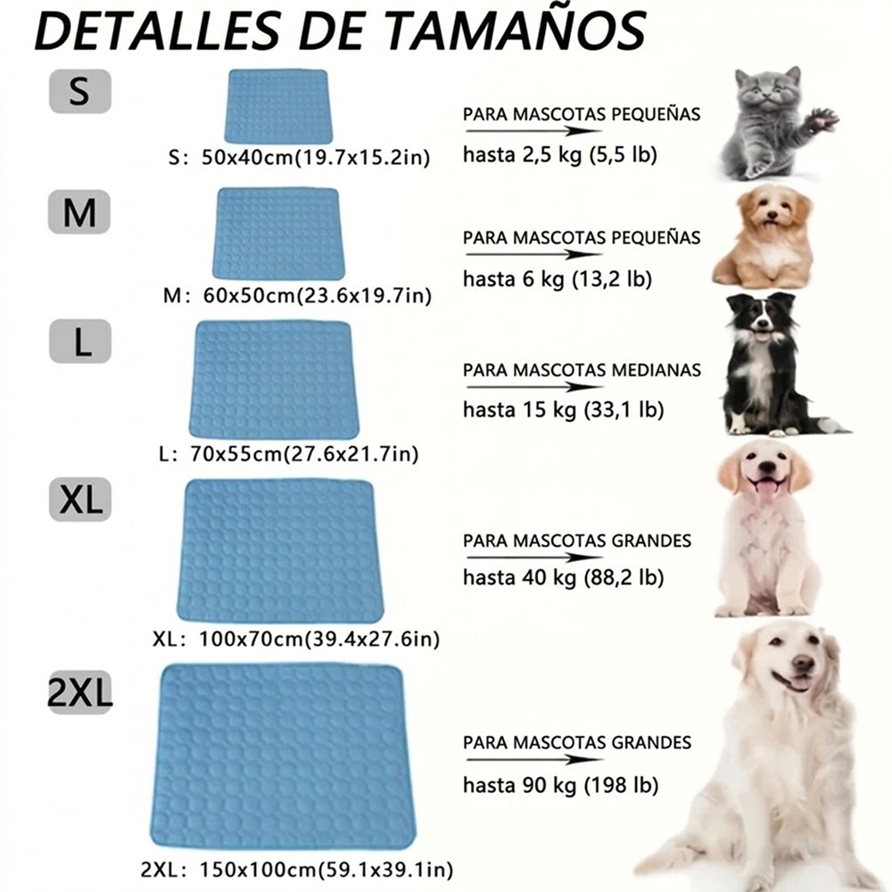 Reygría