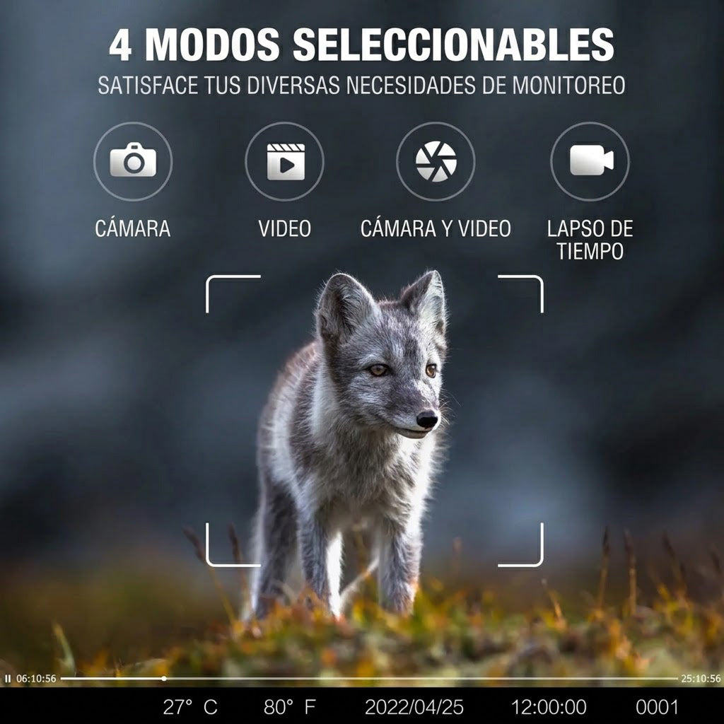 Cámara de Fototrampeo RoMarvía 4G Visión Nocturna 4K
