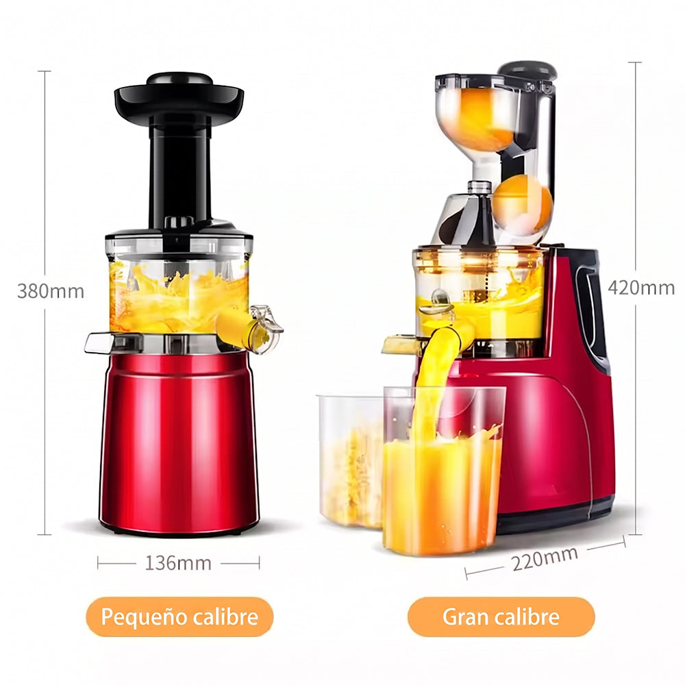 Licuadora en Frío de Prensado Lento 50 RPM Roblevés