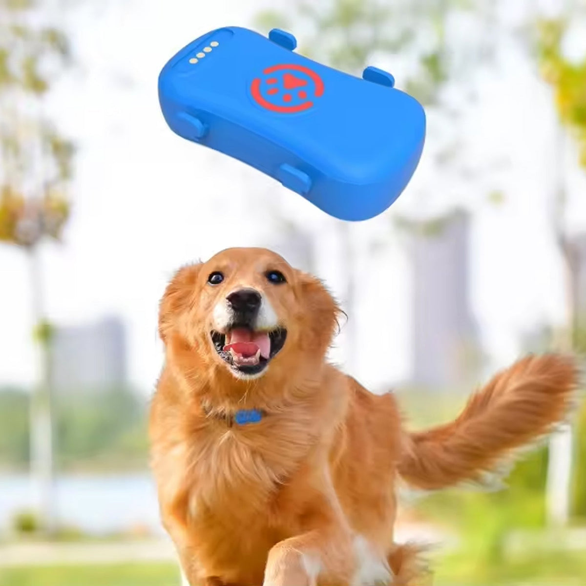 Mimosñero Localizador GPS para Perros 4G Impermeable