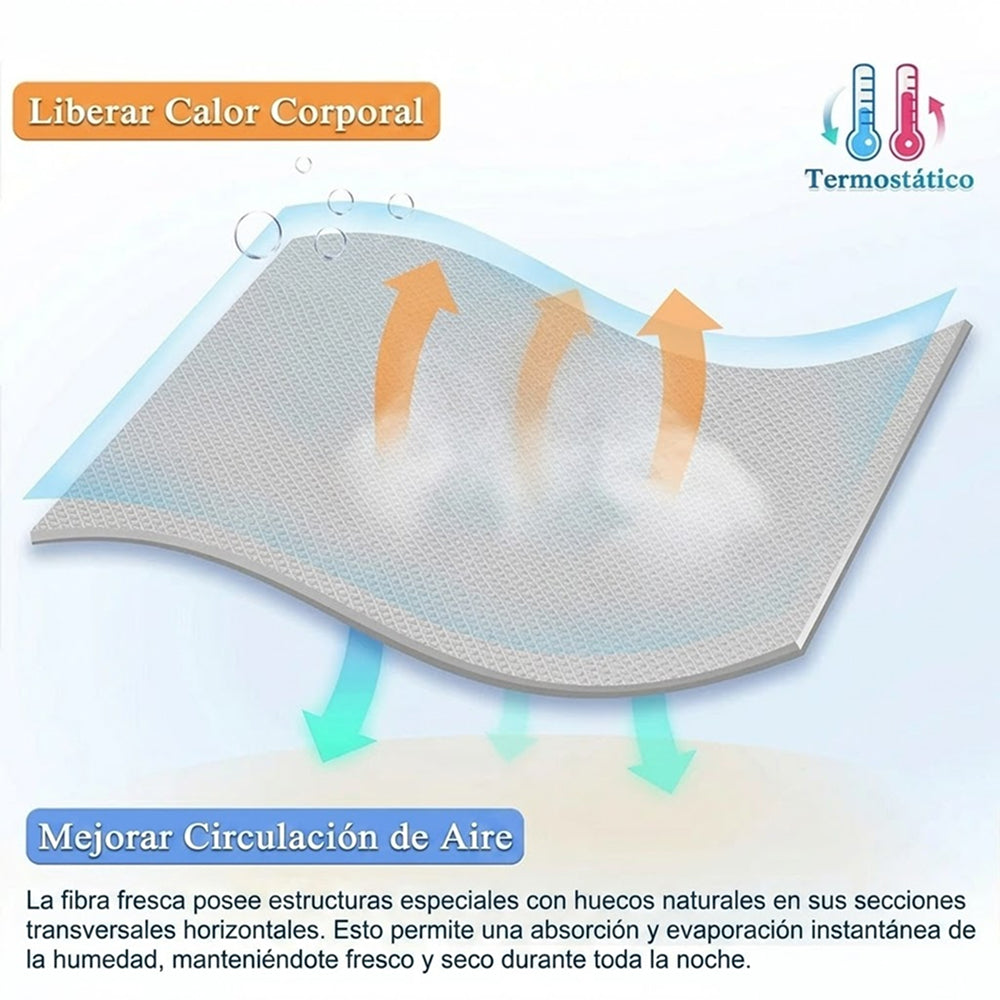 Vevlocas